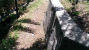 IMAG0295.jpg